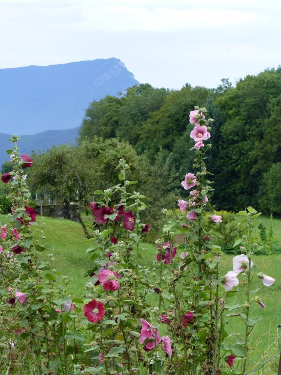 Au Coeur De La Campagne - Gite Non Loins D'Annecy- A 17 Min D'Annecy - Tout Pret D'Aix Les Bains Saint-Girod المظهر الخارجي الصورة